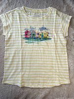 Front view showing stripes and beach graphic