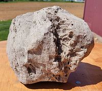 Front view showing porous texture and overall shape