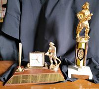 Both awards side by side showing overall condition and scale