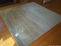 Full view of square beige rug showing stains and border