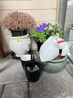 Group showing white planter with dried plant, green planter with soil bag, purple flowering plant, and two black planters