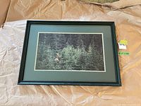 Full view of framed photograph with mat and frame visible