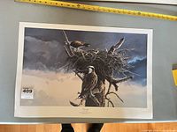 Full view of unframed wildlife print with measuring tape for scale