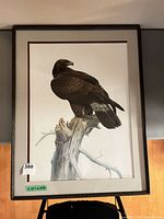 Full view of framed eagle print showing image, mat and frame