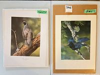 Both Yvette Lantz bird prints on mats showing overall view and size tags