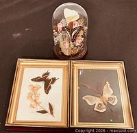 Overall lot showing dome and two frames