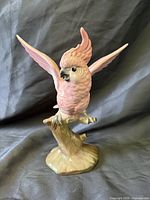 Front view of glazed pink/white cockatoo on tree trunk base