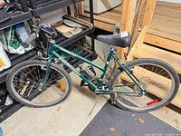 Left side view of green Pathfinder Canadiana mountain bike showing entire frame, wheels, and accessories