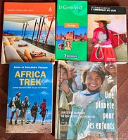 Five French travel books laid out showing front covers