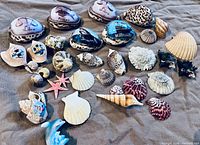 Overview of all shells laid out on fabric