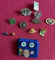 All 13 pins laid out on red background