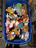 Top view of blue storage tote densely packed with Ty Beanie Babies showing various animals and visible swing tags