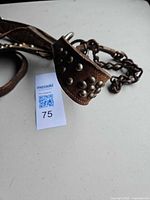 Close-up of noseband with studded rivets and chain attachment