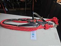 Halter laid out with attached red cotton lead rope