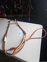 Full view headstall, bit, reins laid on table