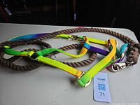 Halter and lead rope overview