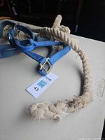 Blue nylon halter with beige rope lead showing frayed end