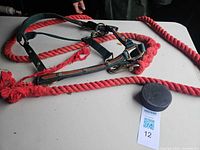 Halter and lead rope laid on table showing overall view