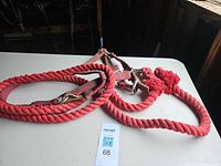 Red halter with red lead rope