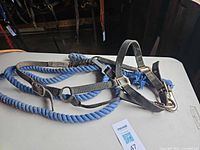 Blue cotton lead rope attached to black nylon halter on table
