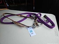 Entire set laid out showing headstall, curb bit and lead rope