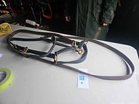 Full view of leather halter laid flat