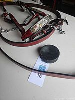 Full view of leather headstall with chain throatlatch and ornate browband