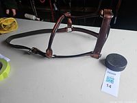 Brown leather halter laid out to show overall structure and hardware