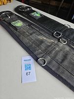 Two black nylon saddle cinches with D-rings and buckles