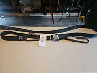 Full view of strap laid out showing carabiner, lock, buckle