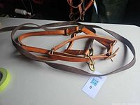 Full view of leather bridle and reins laid on table