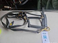 Complete view of one halter laid flat