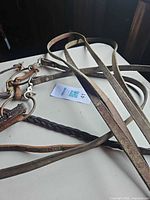 Full view of leather bridle, braided reins and metal bit on table