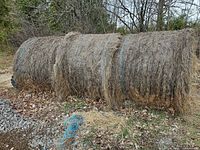 Three twine-bound round hay bales side-by-side outdoors