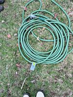 Coiled green rubber garden hose on lawn