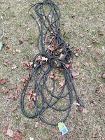 Full view of coiled black extension cord on grass