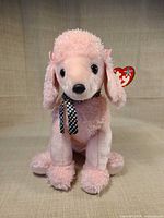 Front view of Ty pink poodle plush showing full item and condition