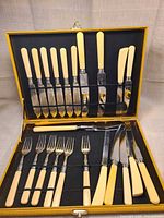 Full open case showing all Bakelite-handled pieces