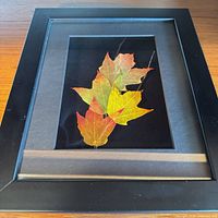Front view of framed pressed leaf artwork showing design and frame