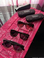 Overview of three pairs sunglasses, two Nicole Miller hard cases, soft pouch