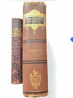 Spines of both books showing titles and wear