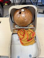 Open carrying case showing Caprica bowling ball and yellow cloth bag