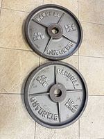 Pair of Standard 45 lb Olympic weight plates with visible rust