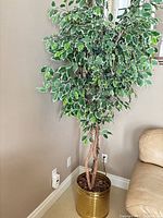 Full view of artificial ficus in corner showing planter and height