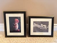 Front view of both framed prints
