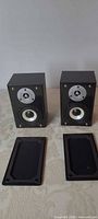 Front view of both speakers with grills removed