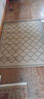 Full view of carpet showing size and pattern