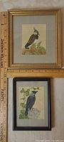 Both framed prints with ruler for scale