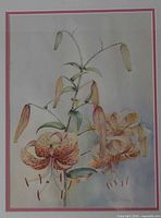 Close view of the watercolour showing lily flowers and buds