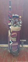 Full view of bag with clubs and umbrella